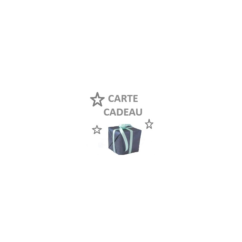 CARTE CADEAU 310-400E